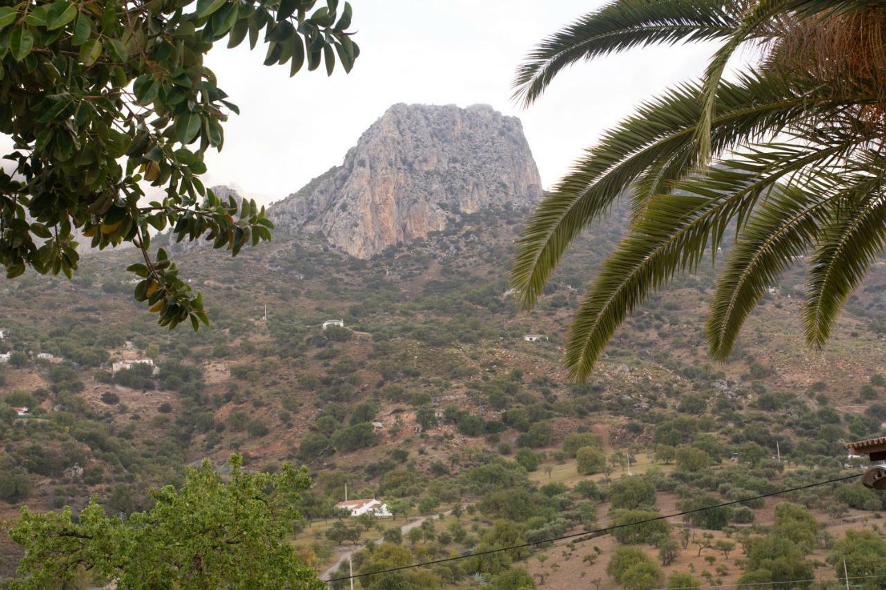Apartmán Lagar Del Chorro Junto Caminito Del Rey Piscina Y Baloncesto Exteriér fotografie